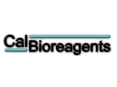 CalBioreagents代理，CalBioreagents蘇州代理，